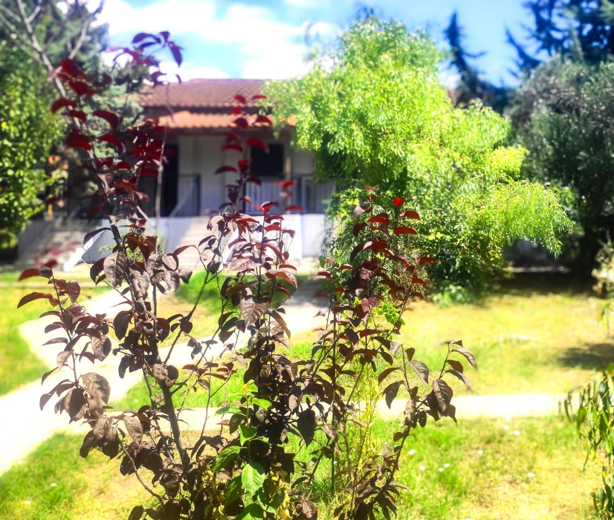 Vergia Studios Sozopoli Exterior foto